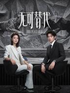 无可替代电视剧2026免费观看